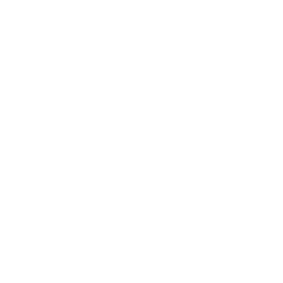 No cookies used